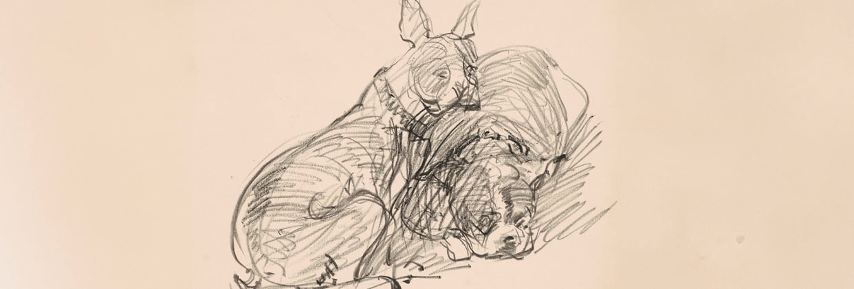 A historic drawing of a border terrier.