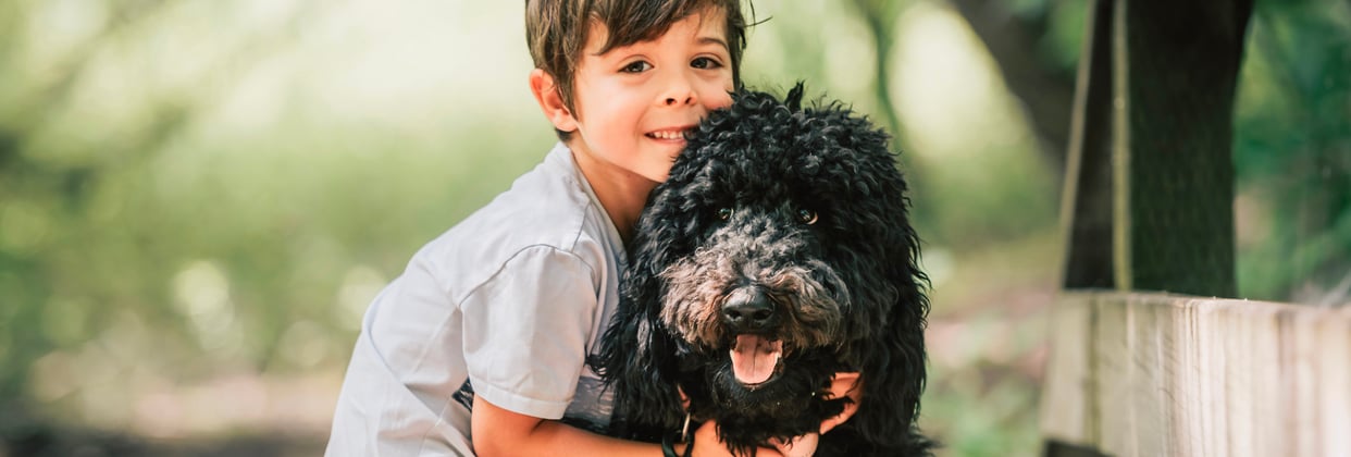 A young boy hugging a black goldendoodle.