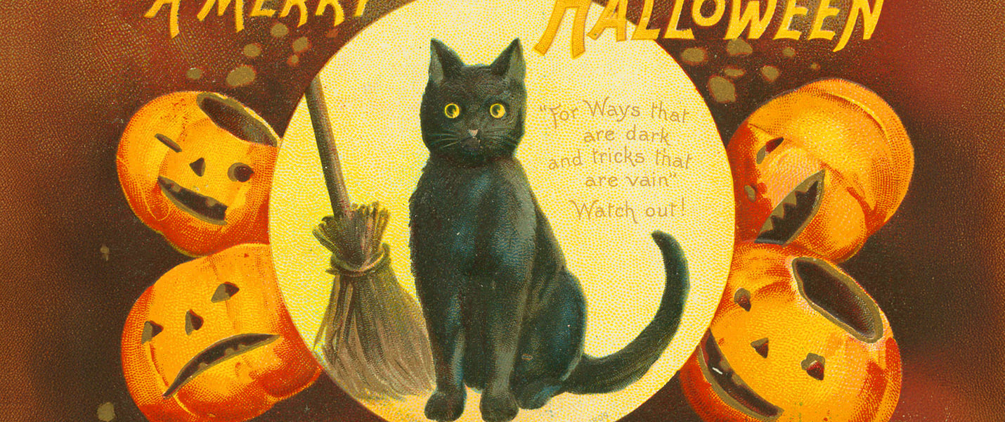 drawing of black cat next to a borrom and surrounded by pumpkins