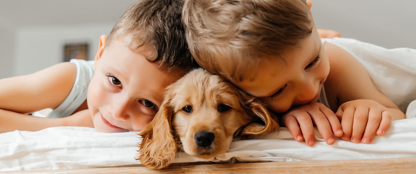 Two children cuddling a Cocker Spaniel puppy in the middle