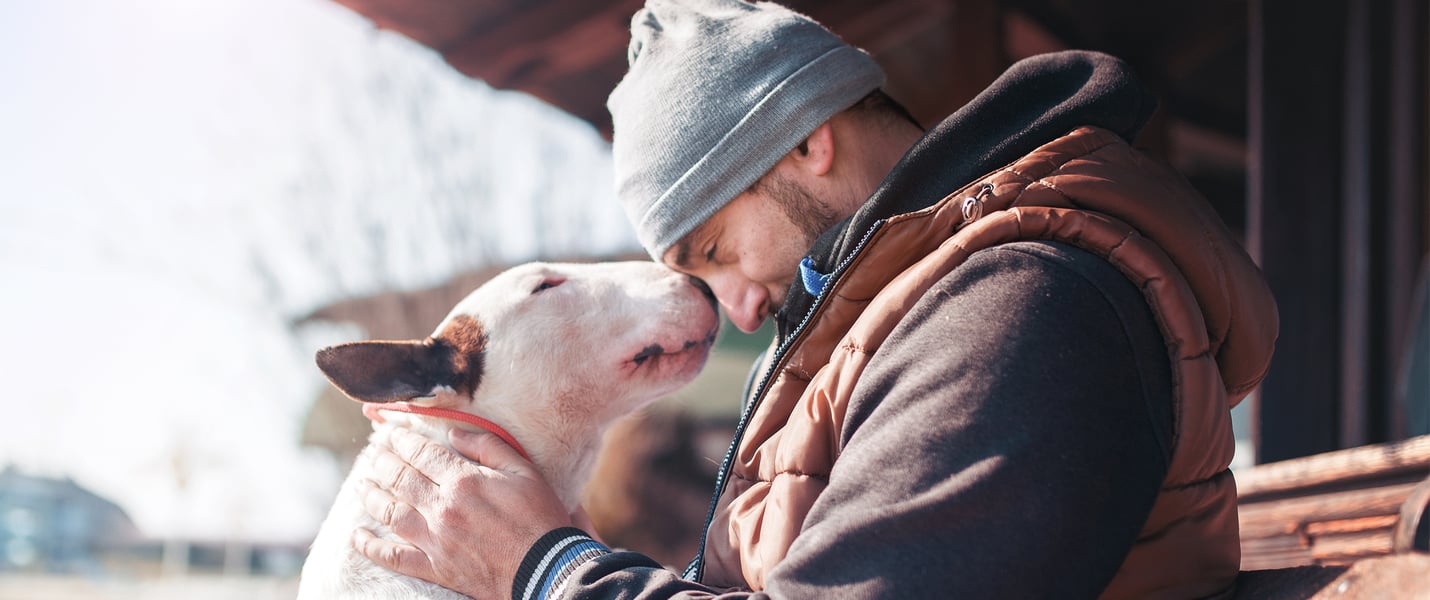 A man and a Bull Terrier with their heads together.