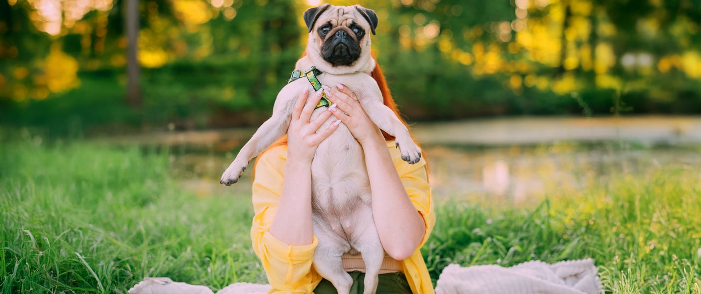 pug being held under the arms by owner sitting in park by a pond
