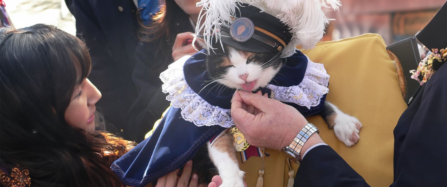 tama at a ceremony being held and stroked