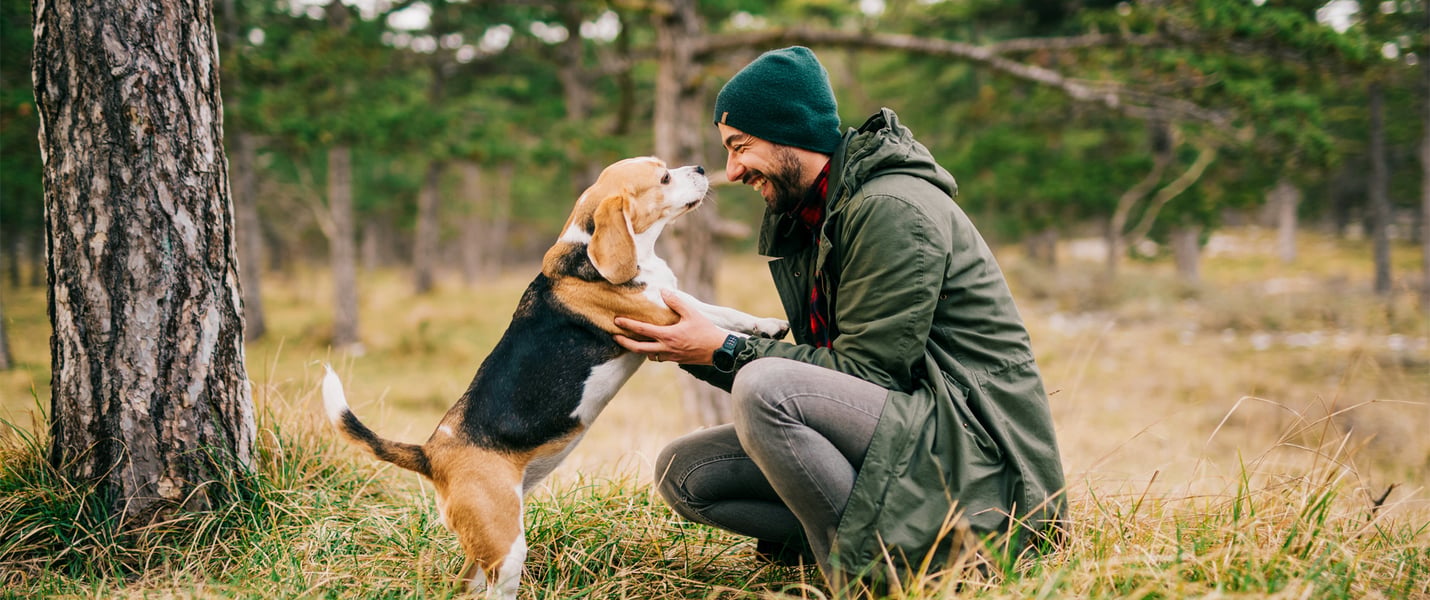 A man crouching down to his beagle.