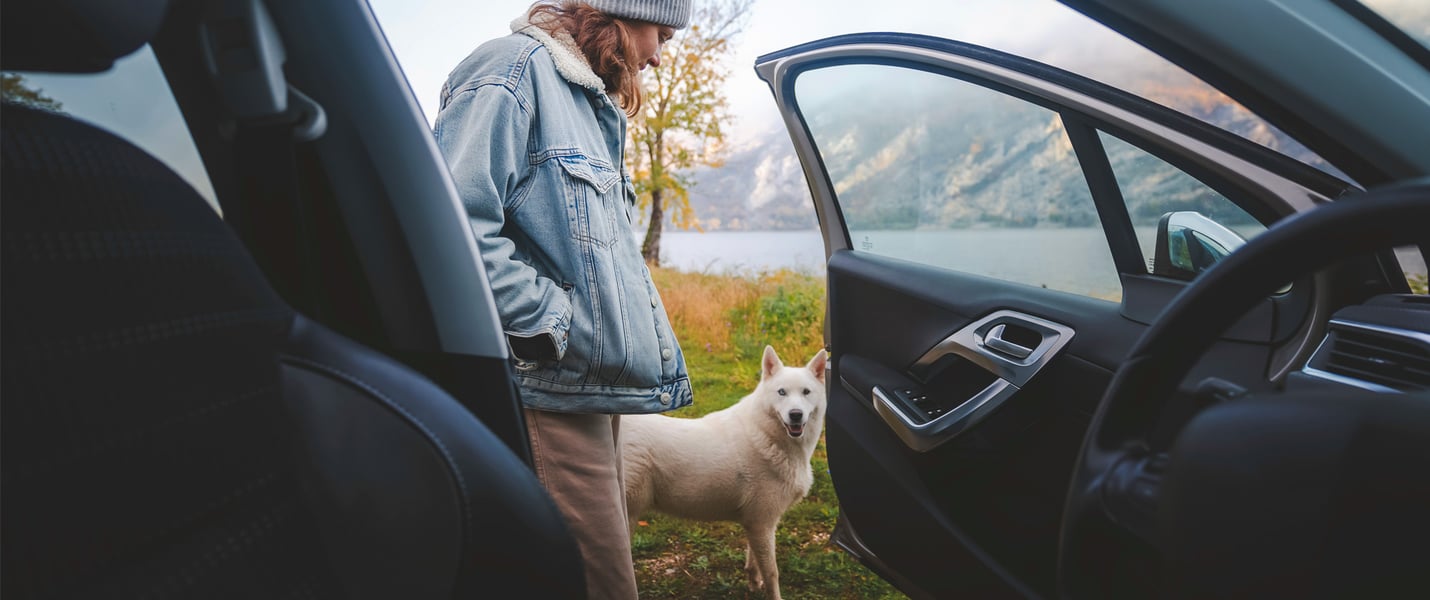 A woman and a dog stood outside of a car by a mountainous area.