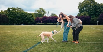 Amy, Tish and Reggie the sighthound sitting outdoors on grass.