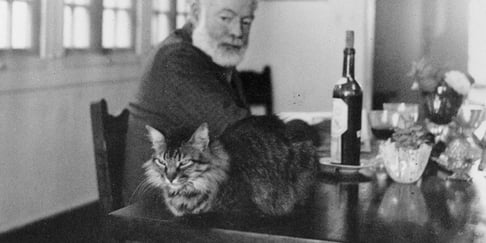 historical image of Maine Coon sitting on the table in front of Ernest Hemingway