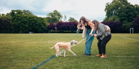 Amy, Tish and Reggie the sighthound sitting outdoors on grass.