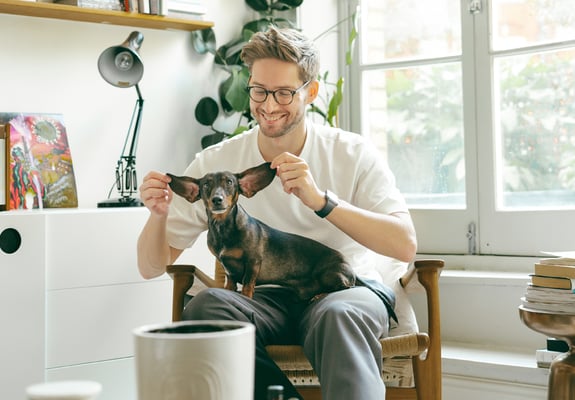 A black and brown Dachshund is sitting on his owners lap. His owner is smiling at him and holding his ears up. 