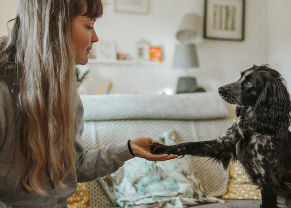 A woman holding the paw of her Cocker Spaniel.