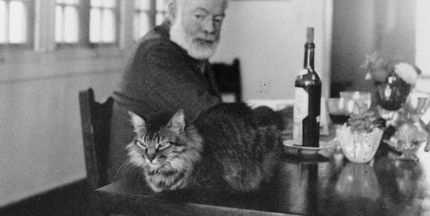 historical image of Maine Coon sitting on the table in front of Ernest Hemingway