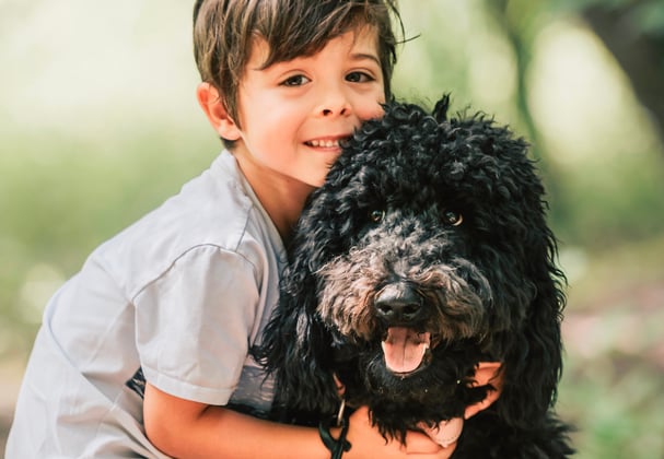 A young boy hugging a black goldendoodle.