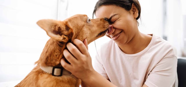 A dog licking a woman's face