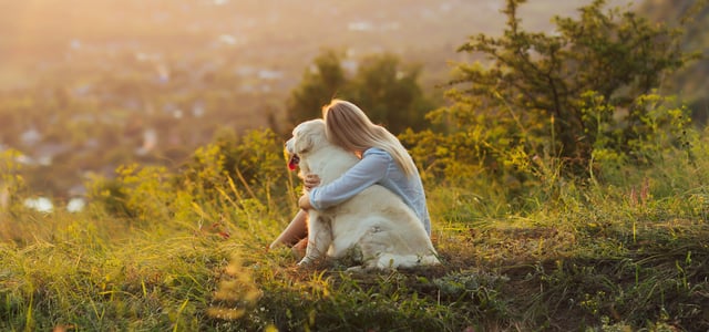 Owner hugging a Golden Retriever sitting at the top of a hill looking at a view