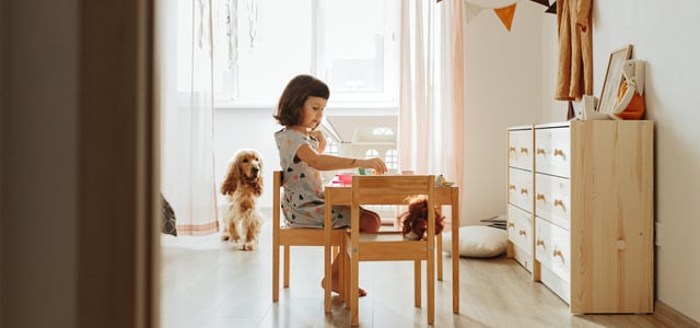 Child sitting drawing at a desk with Cocker Spaniel watching