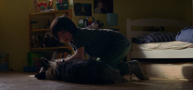 Daniel kneeling over an unwell Snoop.