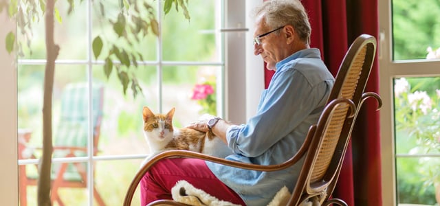 A cat sat on the lap of an elderly man in a rattan chair.