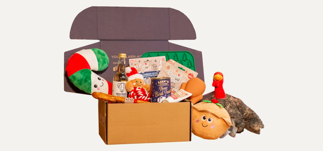 A promo image for a dog gift basket with toys and food in.