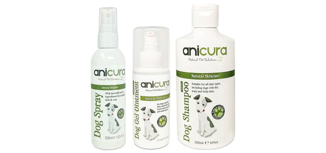 Jack Russel Anicura promo image