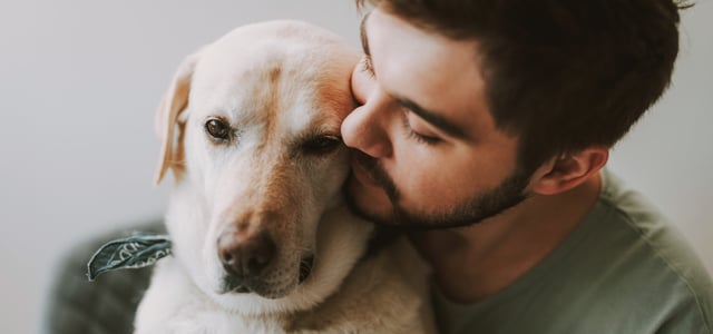 A man snuggling up to his labrador.