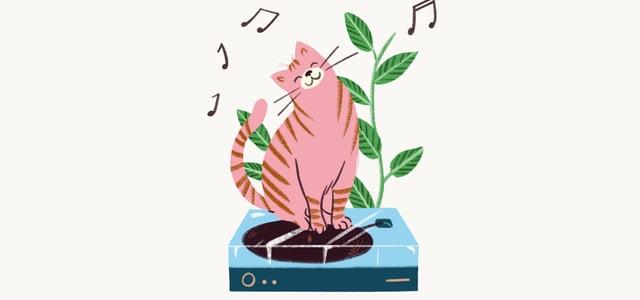 A pink cat sitting on a record player.