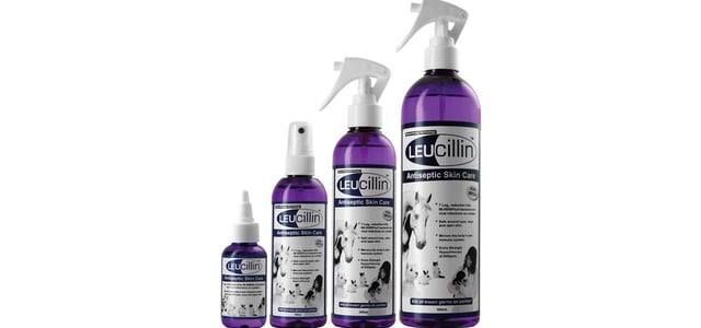 Leucillin spray promo image