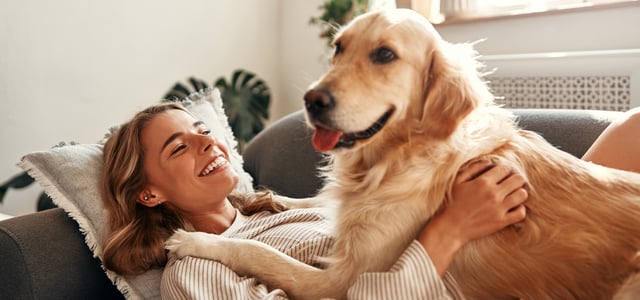 A woman with a golden retriever laying on top of her.