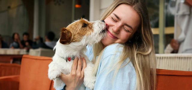 Puppy licking a woman's face
