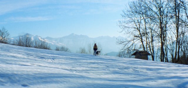 Landscape image of Daniel and Snoop walking across snow.