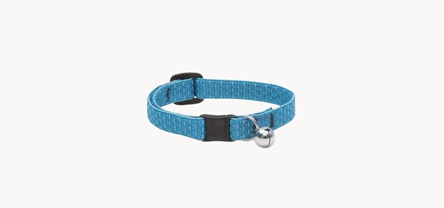 blue cat collar