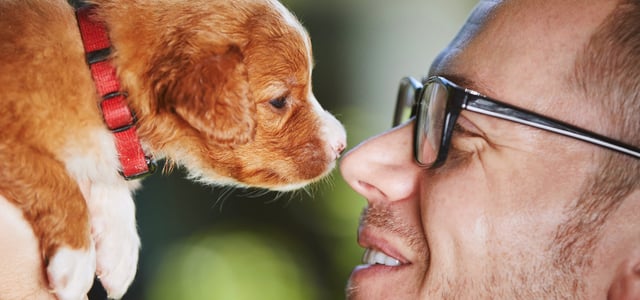 A man nose to nose with a puppy.