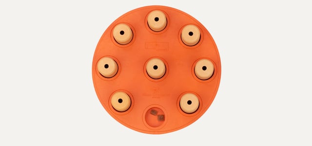 A dog toy shaped like an orange circle.