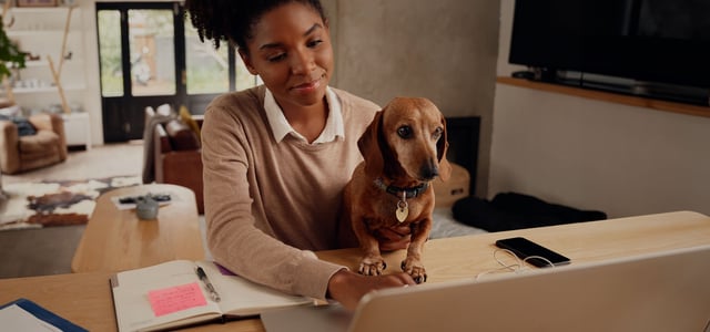 a woman at her computer with her dog