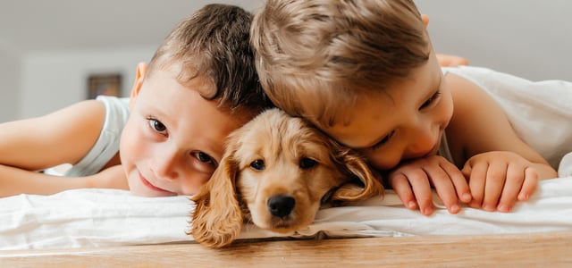 Two children cuddling a Cocker Spaniel puppy in the middle