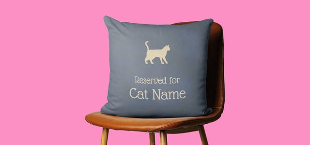 A promo image of a cushion.