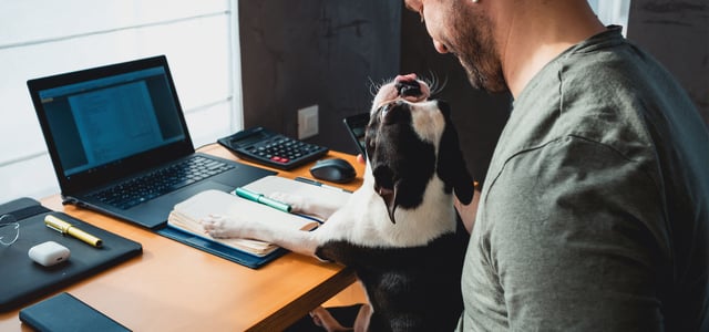a dog on its owners lap at a desk