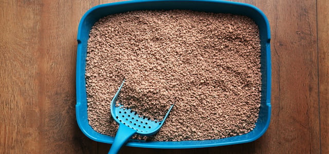 close up image of blue litter box