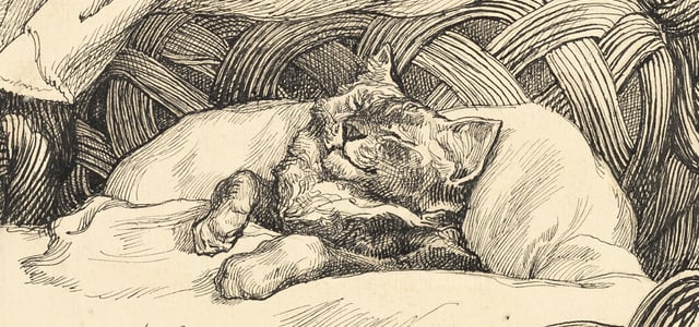 an old painting of a cat in a basket