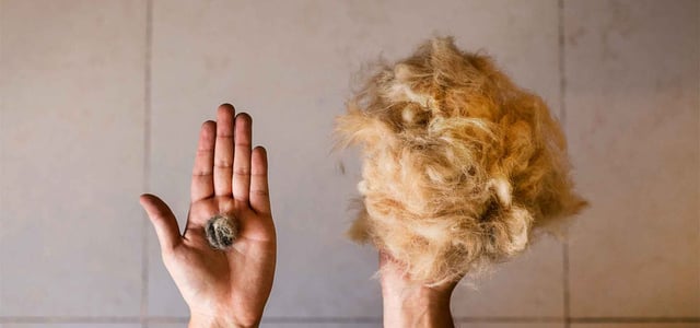 hand holding hair