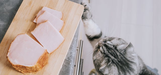 a cheeky cat trying to swipe some ham from a worktop chopping board