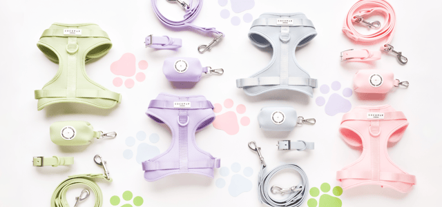 A display of pastel Cocopup harnesses and leads