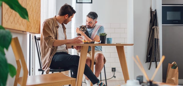 Two men sitting around a table with a cat.
