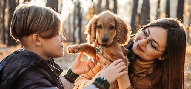 Two children holding a golden Cocker Spaniel puppy
