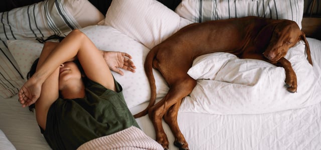 A woman sharing her bed with her large dog.