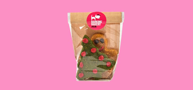 A cheesy biscuit of a gingerbread man and Christmas tree on a pink background.