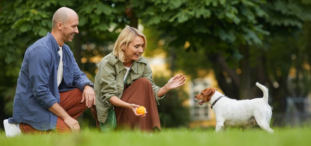 A couple playing outdoors with their Jack Russell.