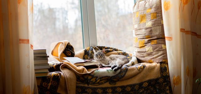 A cat snuggled into a nook by a window.
