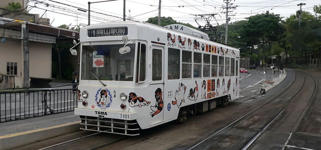 white tram with cartoon images of tama on