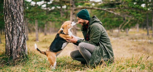 A man crouching down to his beagle.