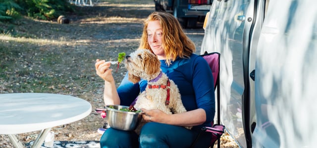 a woman in a blue shirt sitting in pink chair feeding her dog salad